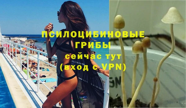MESCALINE Арсеньев