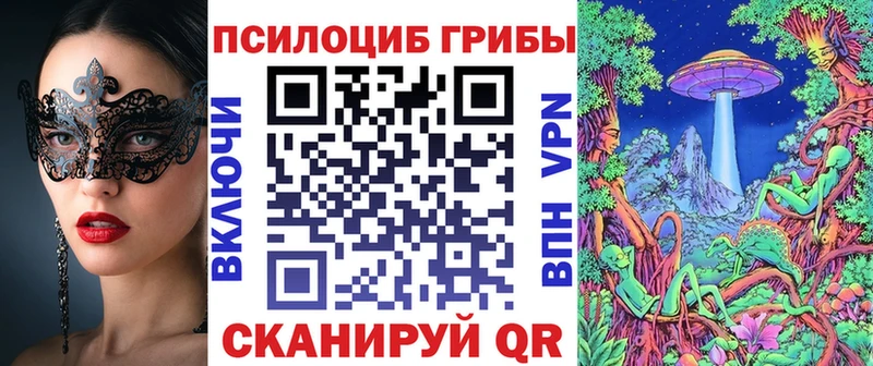 мега как зайти  Миньяр  Галлюциногенные грибы Psilocybe  сколько стоит 